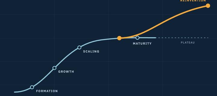 The four stage lifecycle: Formation, Growth, Scaling and then Reinvention