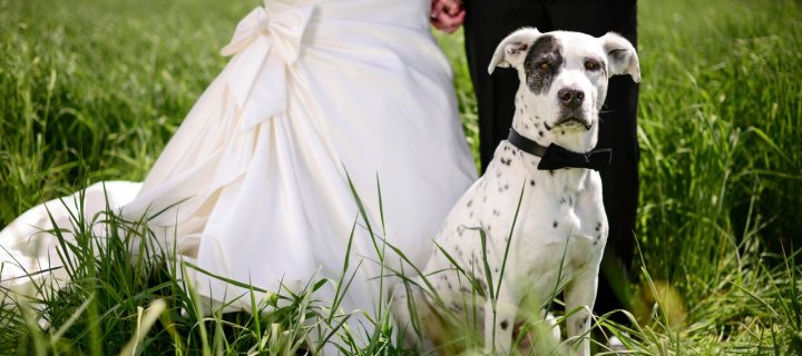 Using Your Expertise to Land the PR You've Been Dreaming Of